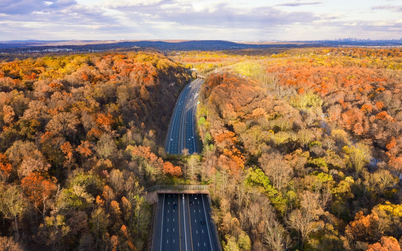 Watchung